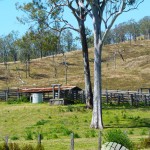 hike, hiking, mountains, australia