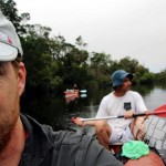 canoe, canoeing, river, everglades, australia