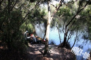 canoe, kayak, canoeing, river, kayaking, camping