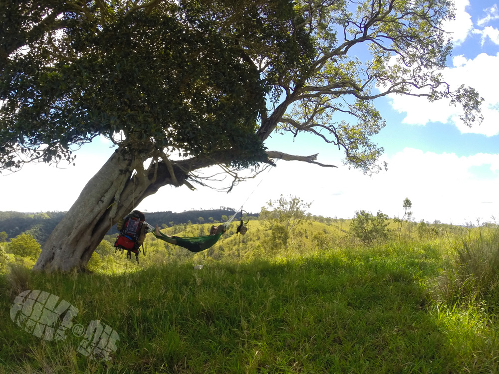 Hiking solo leaves you more time to do this.