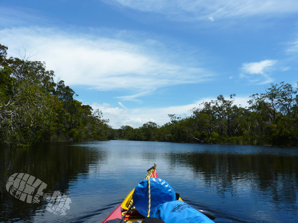 Canoeing up the Noosa Everglades on my very first solo adventure. Click here to watch the full video.